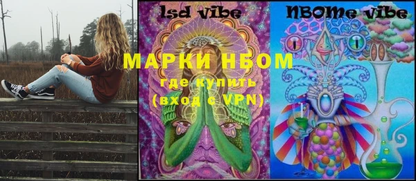PSILOCYBIN Майский