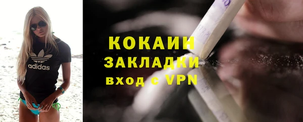 PSILOCYBIN Майский