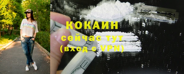 PSILOCYBIN Майский