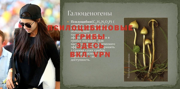 PSILOCYBIN Майский