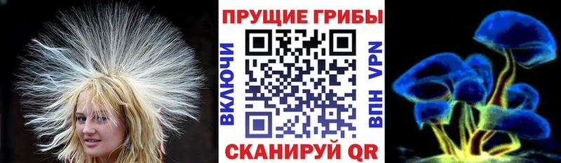 Псилоцибиновые грибы Cubensis  купить закладку  Туапсе 
